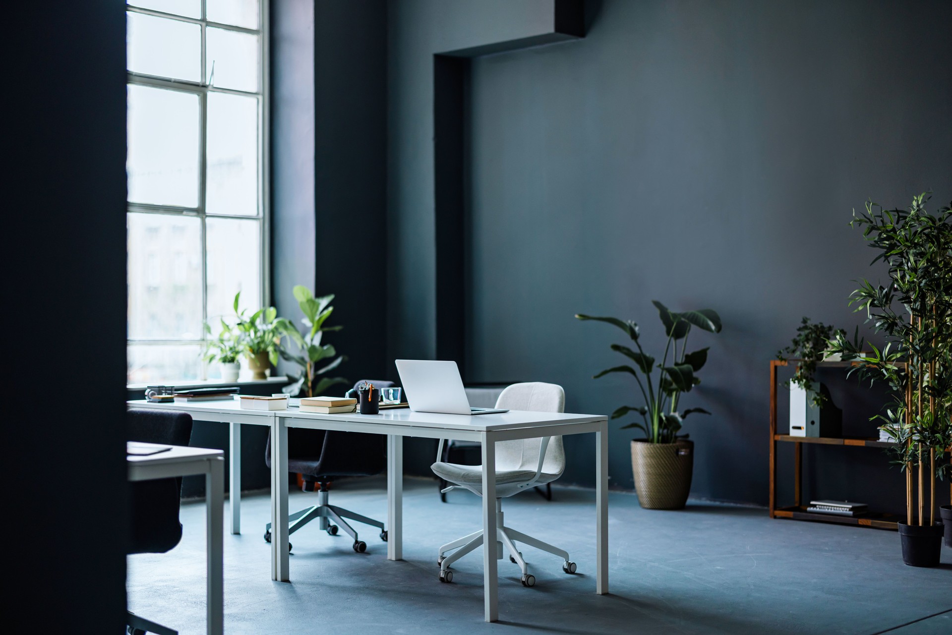 Interior Of Modern Coworking Office With Big Window